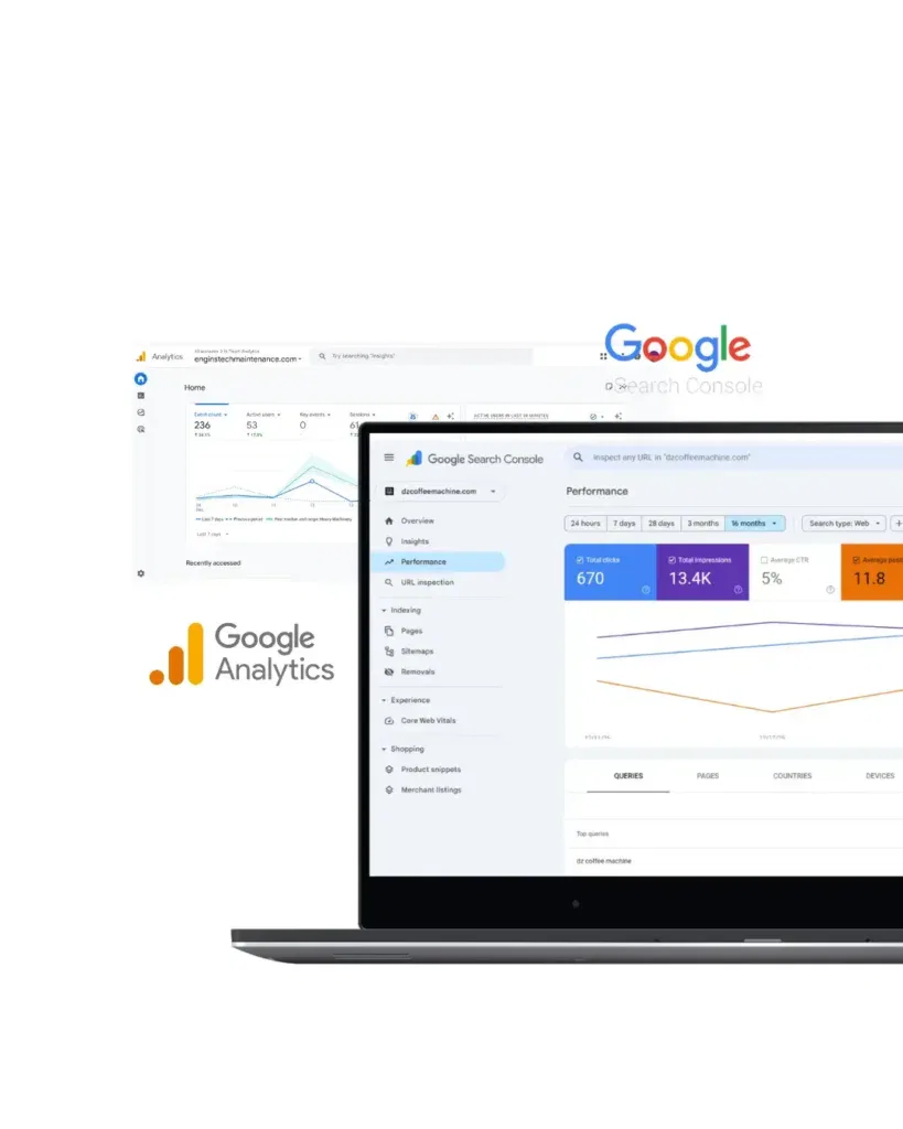 Service SEO en Algérie intouch